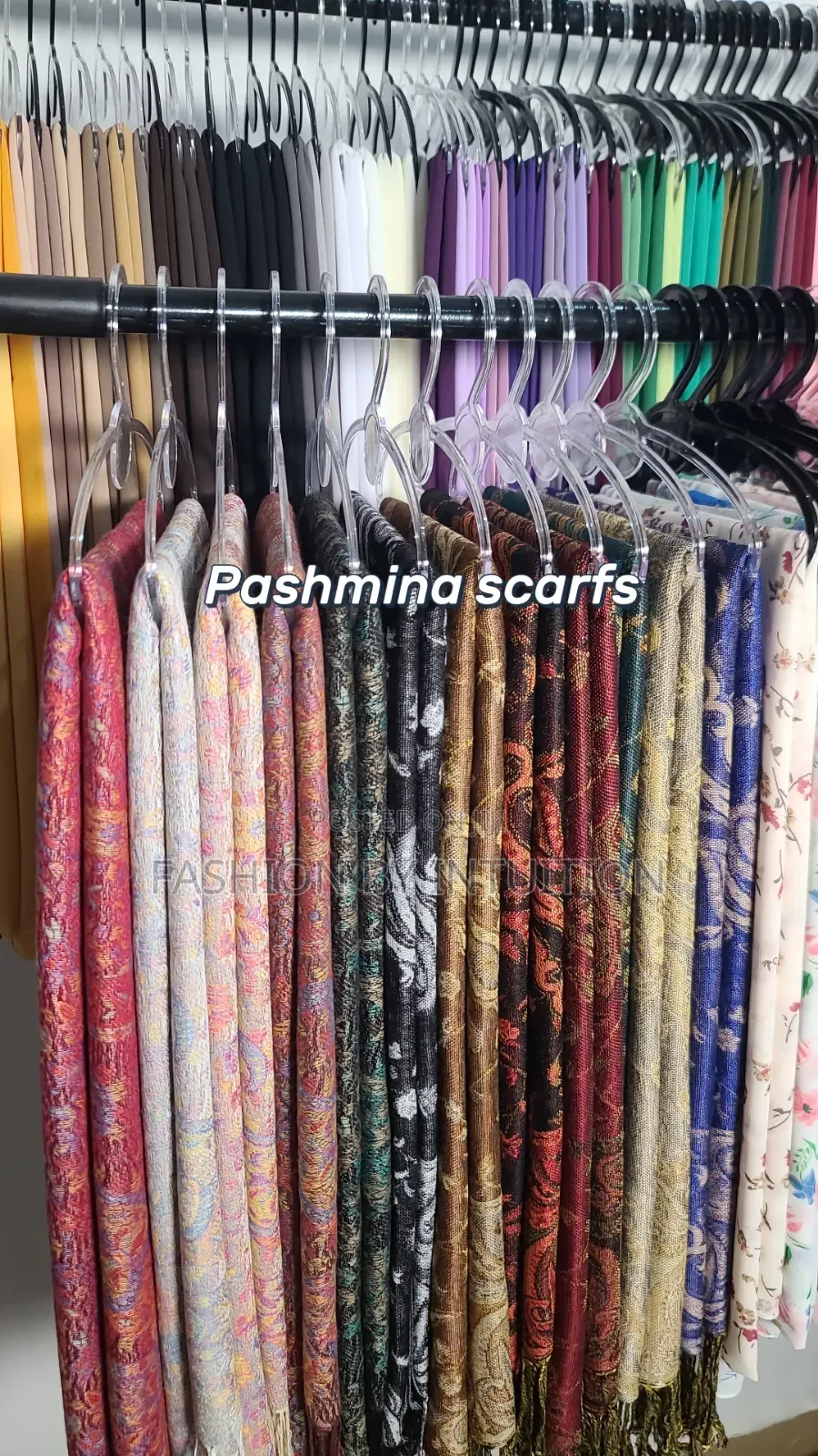 Pashmina Scarfs