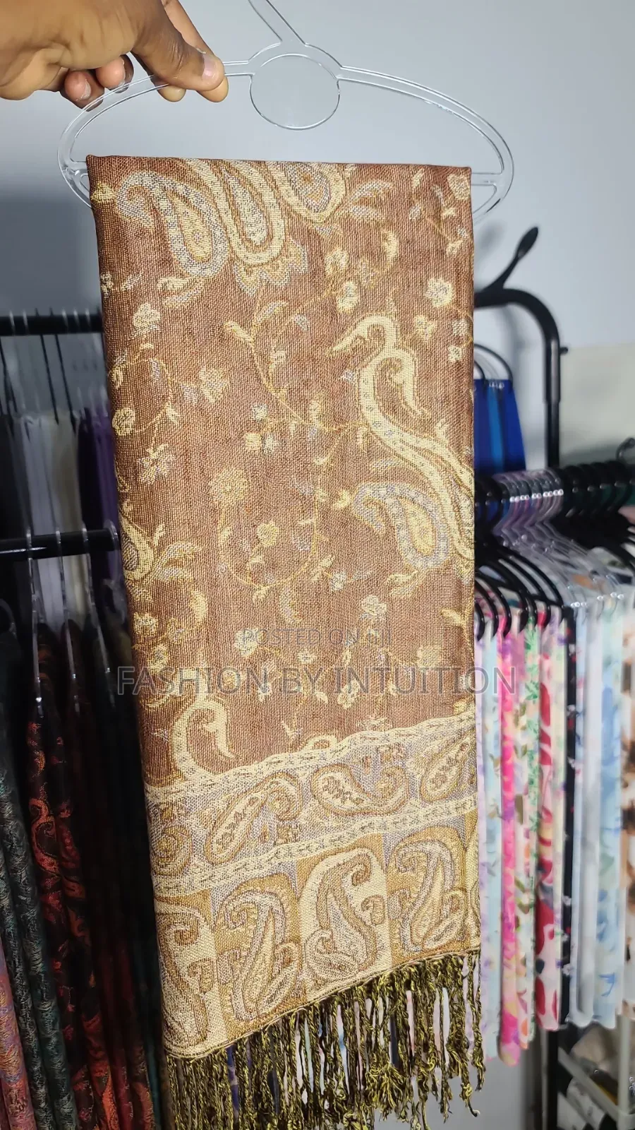 Pashmina Scarfs