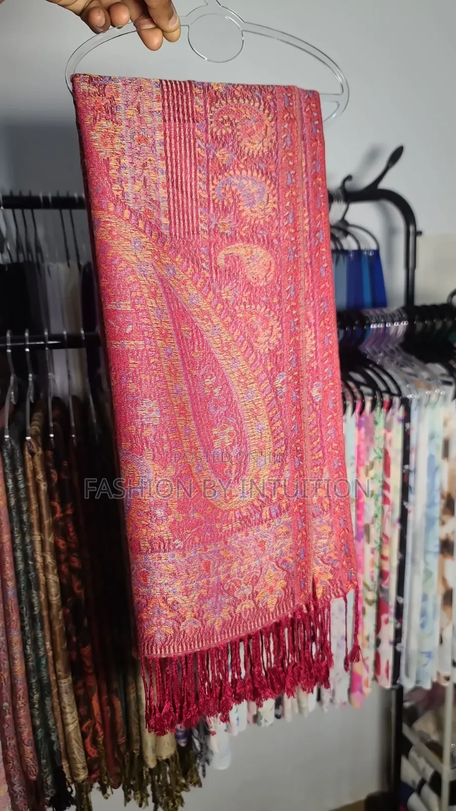 Pashmina Scarfs