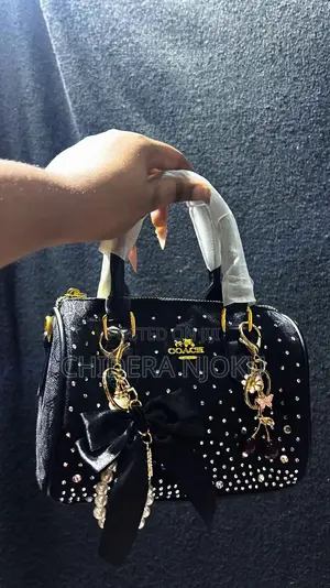 Coach Bag(30,000-35,000)
