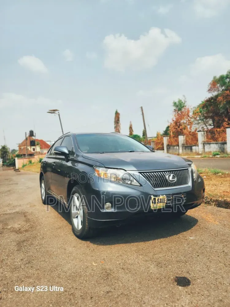 Lexus RX 2012 Gray