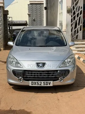Peugeot 307 2007 Silver