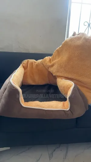 Soft Padded Pet Bed