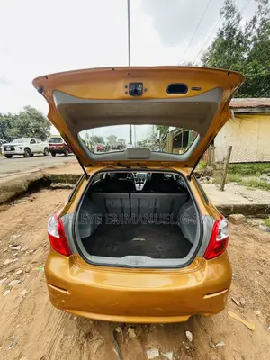 Toyota Matrix Hatchback FWD (1.8L 4cyl 5M) 2008 Gold