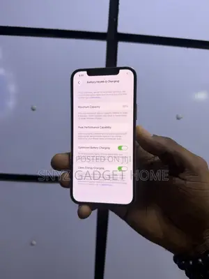 Apple iPhone 12 Pro 256 GB Gray