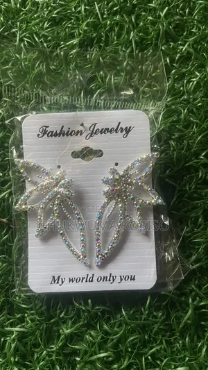 Sliver Earrings