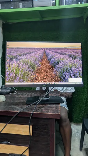 25 Inches Ultra Sharp IPS Monitor 1440p