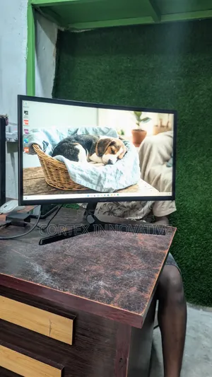 24 Inches Samsung Curved Monitor Hdmi
