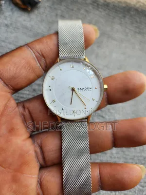 Skagen Womens Anita Lille Silver Gold Two-Tone SS