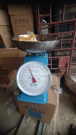 20kg Original Camry Dial Spring Scale