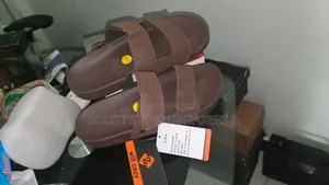 Premium Slides