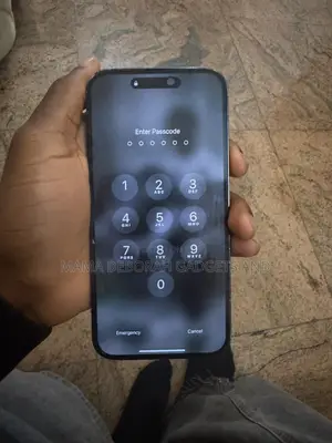 Apple iPhone 14 Pro Max 256 GB Gray