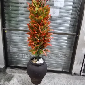 Ceramic Pot and Plant