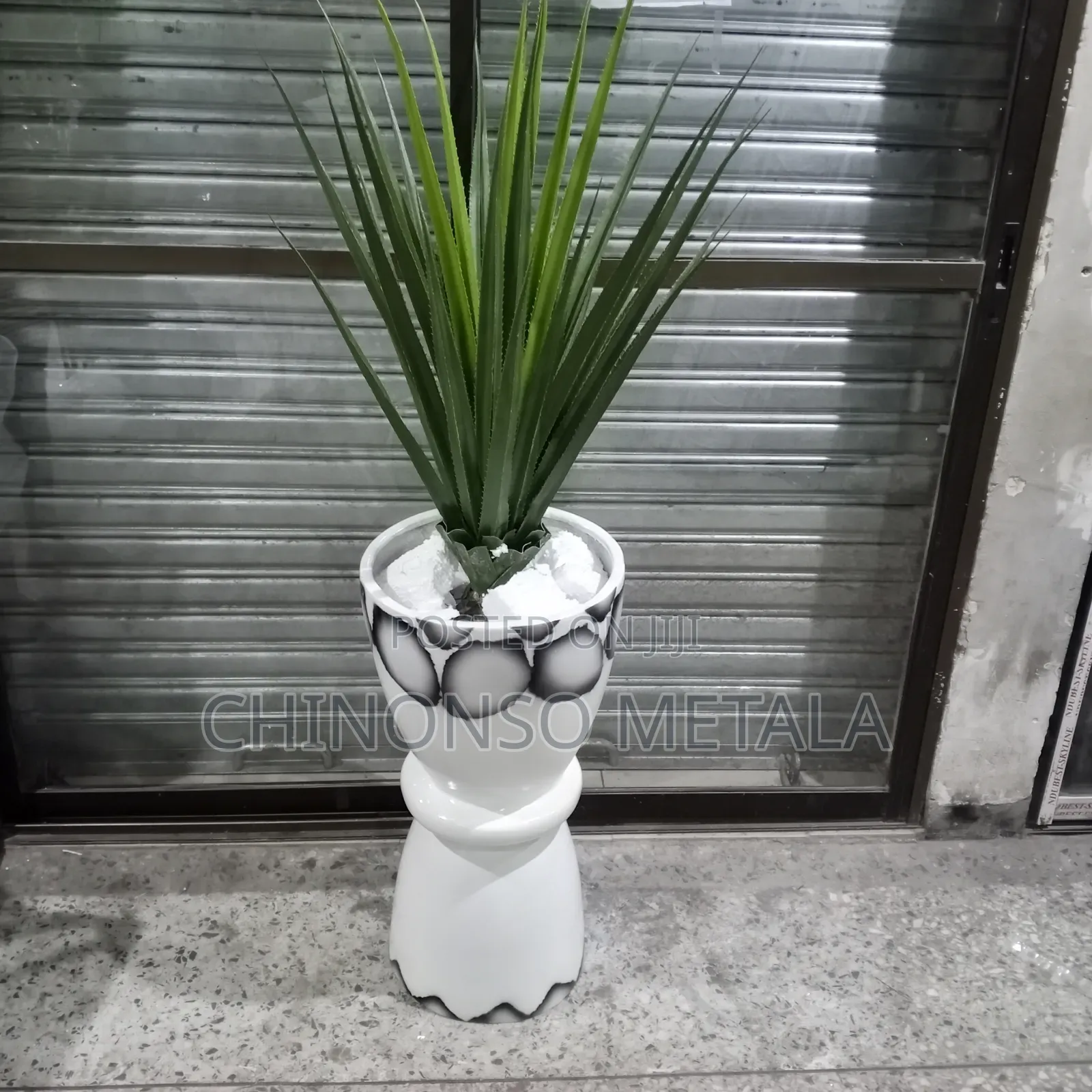 Fiber Glass Pot and Plant