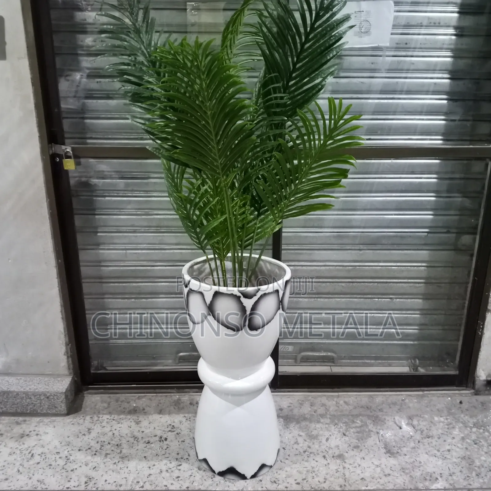 Fiber Glass Pot and Plant