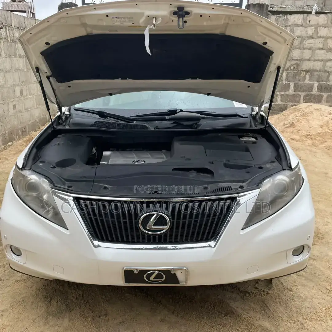 Lexus RX 2010 White