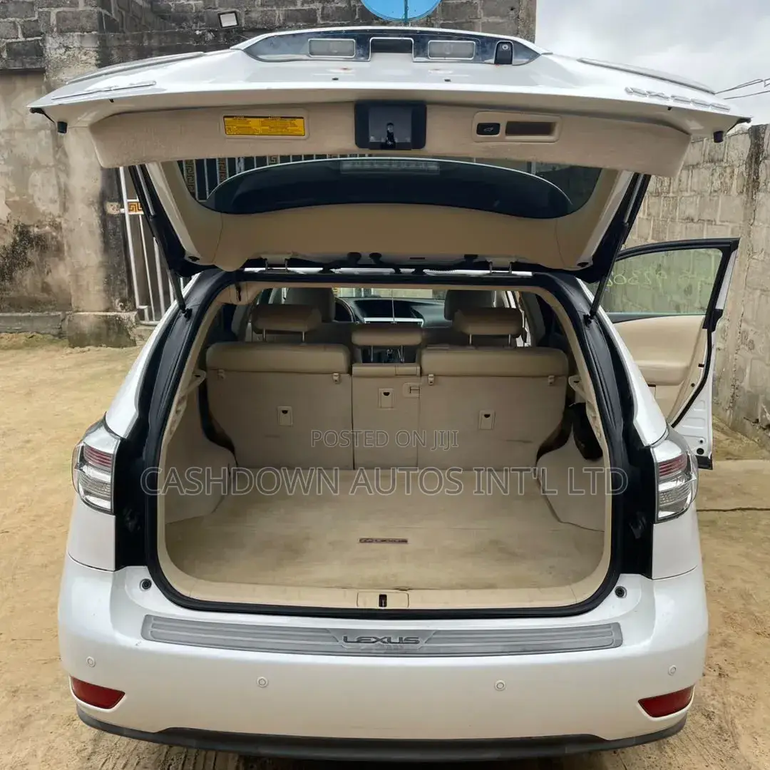 Lexus RX 2010 White