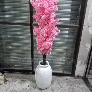 Fiber Pot and Plant