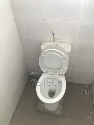 House Cleaning Service