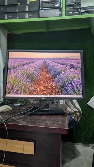 24 Inches Dell Frame IPS Monitor 1080p