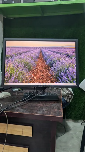 24 Inches Dell Frame IPS Monitor 1080p