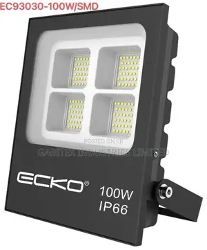 Ecko 100 Watts Flood Light