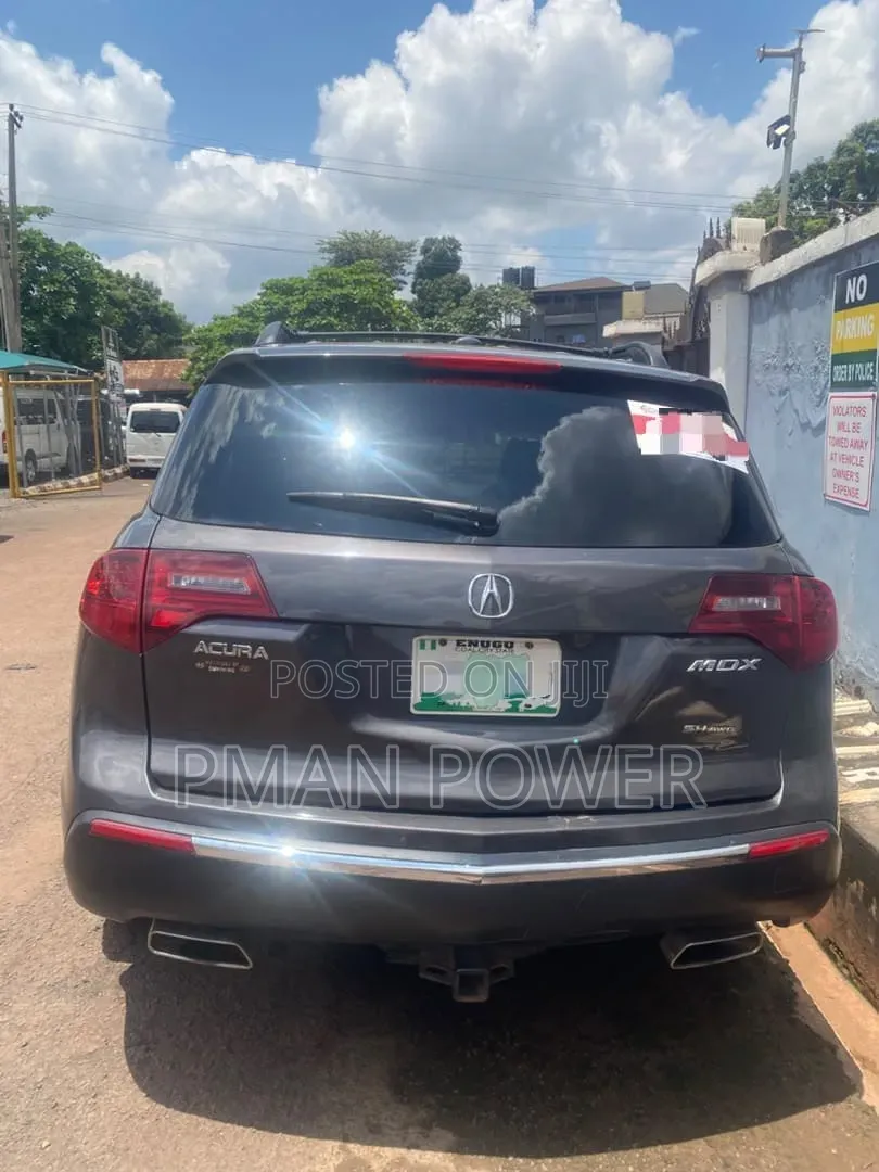 Acura MDX 2010 Gray
