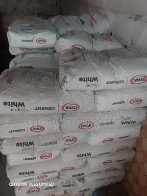 White Cement for All Your Constructions W