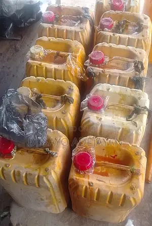 25 Litres Premium Palm Oil