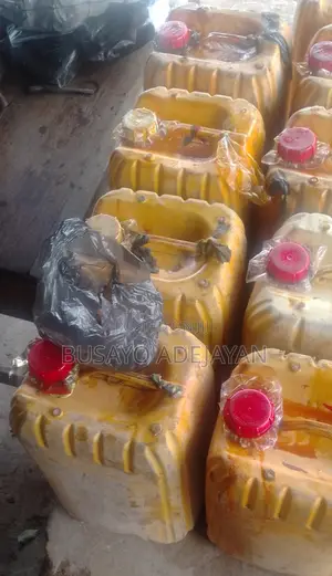 25 Litres Premium Palm Oil