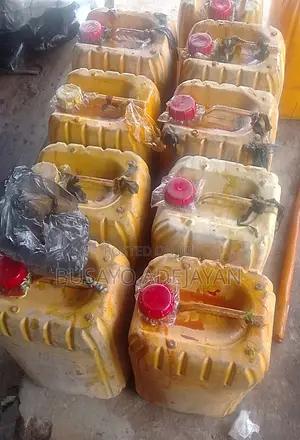 25 Litres Premium Palm Oil