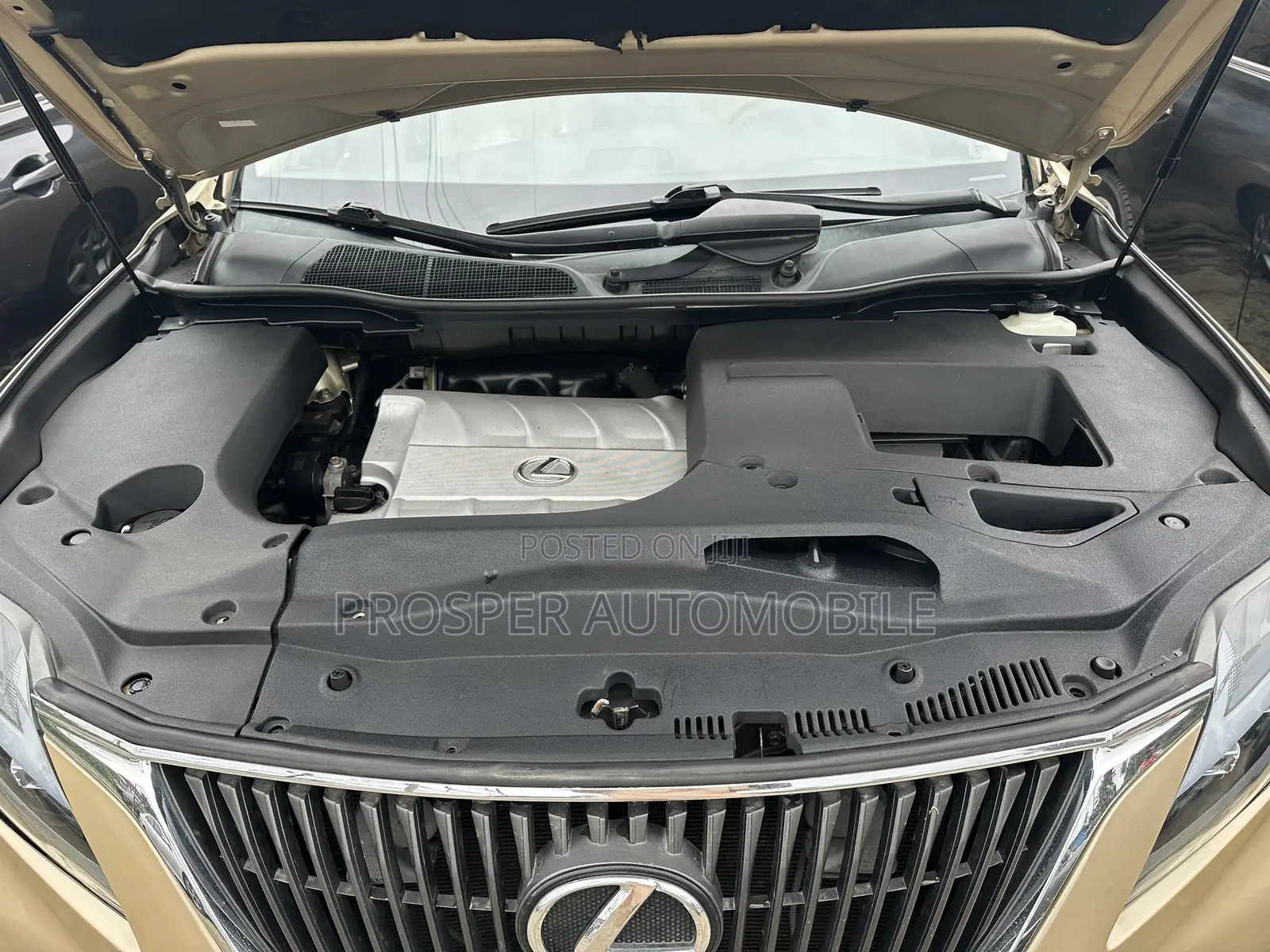 Lexus RX 350 2010 Gold