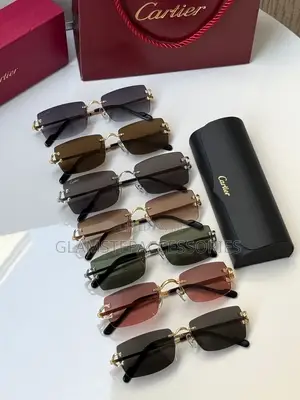 Cartier Glasses