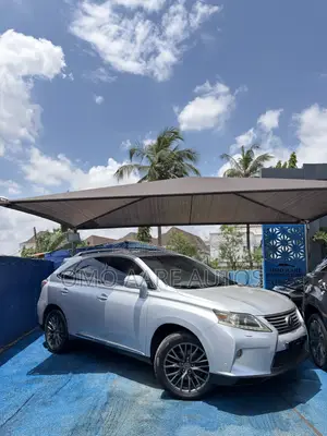 Lexus RX 350 2010 Silver