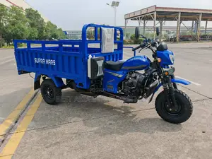 New Tricycle 2025 Blue