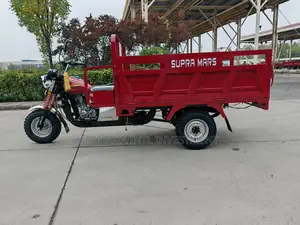 New Tricycle 2025 Blue