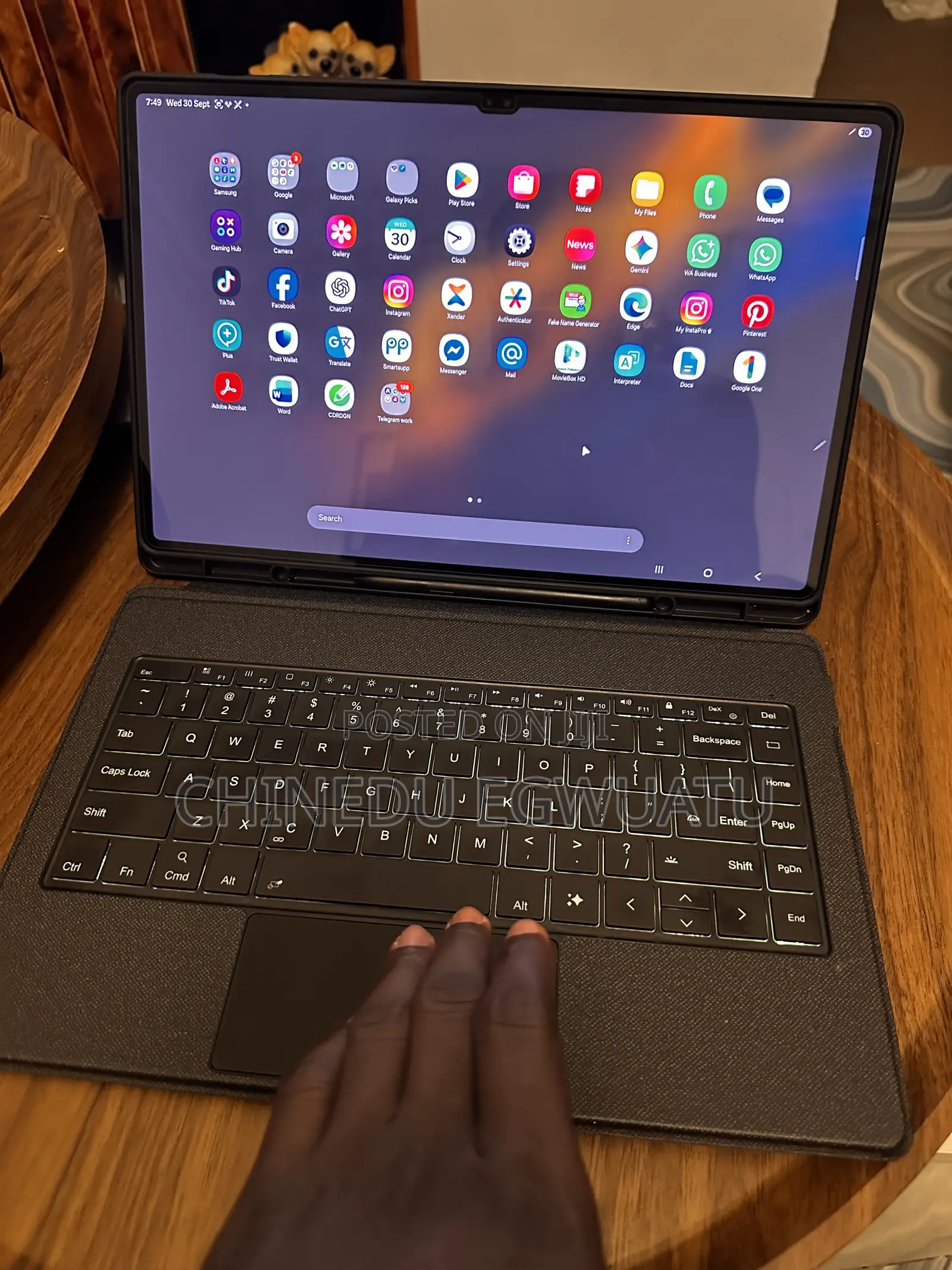 Samsung Galaxy Tab S8 Ultra 256 GB Gray