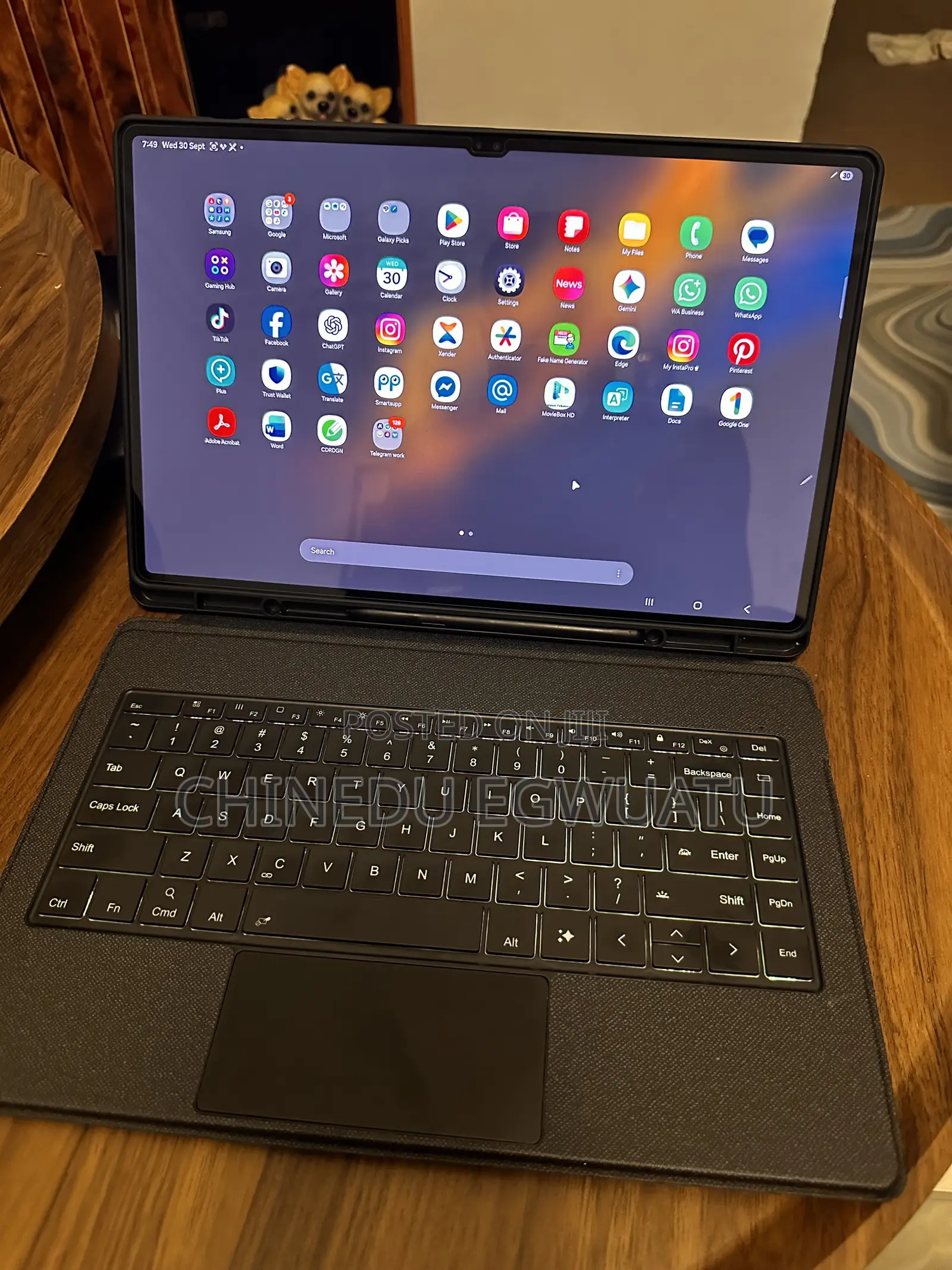 Samsung Galaxy Tab S8 Ultra 256 GB Gray