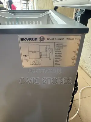 Skyrun 200L Inverter Chest Freezer BD-250AI
