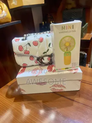 Coach Handbag With Mini Hand Fan