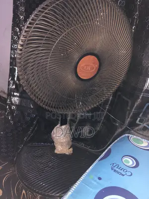 Standing Fan