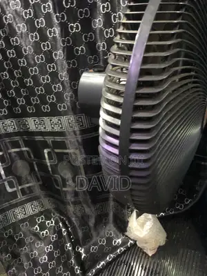 Standing Fan