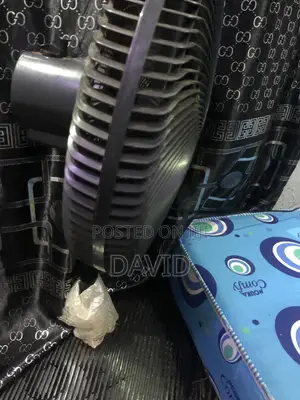 Standing Fan