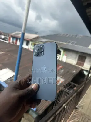 Apple iPhone 12 Pro Max 256 GB Blue