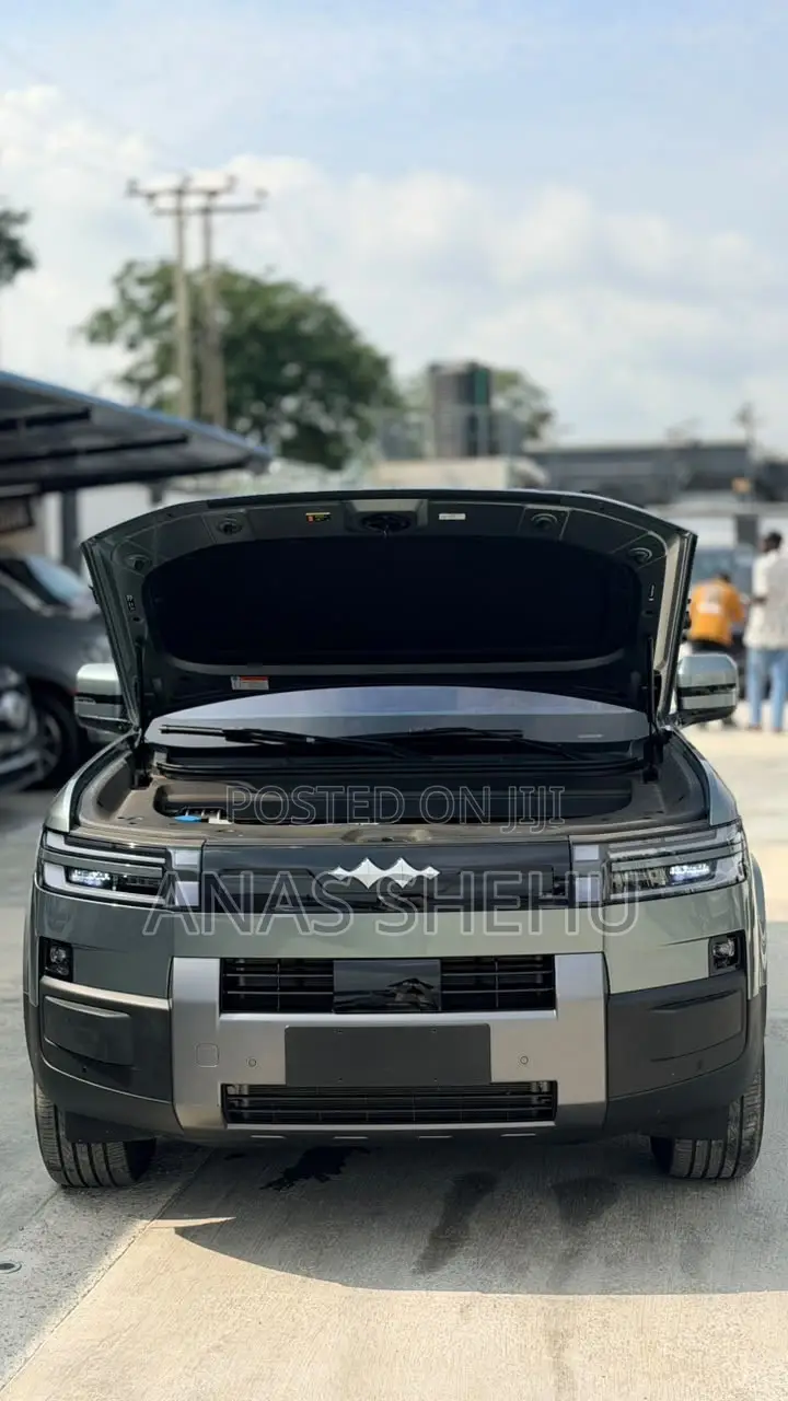New BYD Leopard 7 2026 Gray