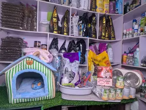 Complete Cat Package ₦200,000 | Kitten Food, Carrier, Litter and More