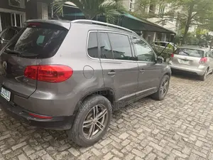 Volkswagen Tiguan 2014 Gray