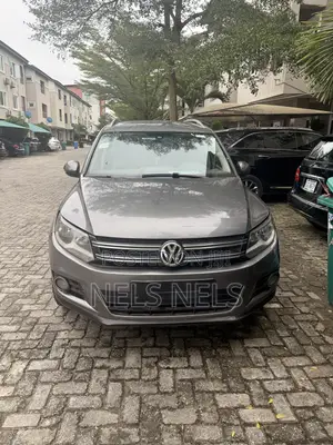 Volkswagen Tiguan 2014 Gray
