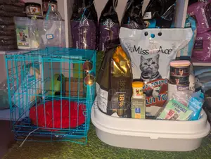 ₦100k Complete Cat Starter Package