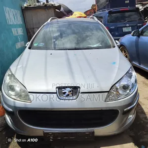 Peugeot 407 2004 Silver